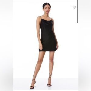 Alice + Olivia Harmony Mini Slip Dress